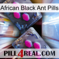 African Black Ant Pills 01